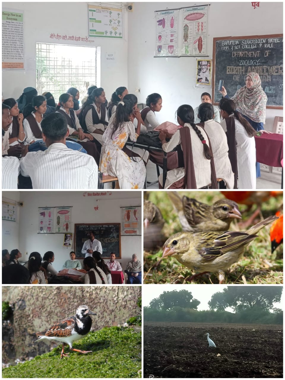 Bird week celebration by department of Zoology